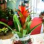 Gallery Professionale