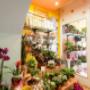 Gallery Professionale