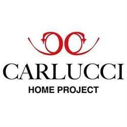 Carlucci Home Project