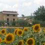 la struttura