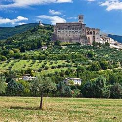 Agriturismo Il Girasole Assisi