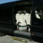 minibus "VIP"