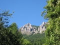 Apicoltura Monte Spilech  ( Cuor Di Leone )