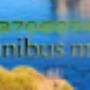 Caricato da visitatore il 21/04/2016 - Taxi e Minibus 3473706074 La Maddalena