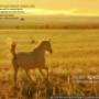 Sfondo desktop 15