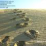 Sfondo desktop 18