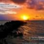 Sfondo desktop 8