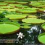 Sfondo desktop 9