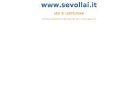 Sevollai Computer art