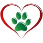 Campo Scuola I Like Free Dog asd Centro Cinofilo