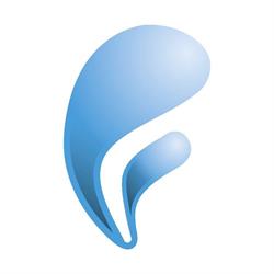 Forniture Chimiche Integrate S.r.l.
