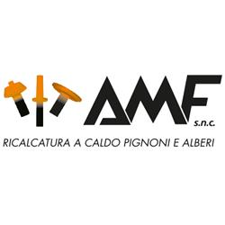 A.M.F