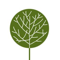 Clay & Clay SRL