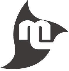 Masterlegno Di Festi Giuseppe
