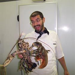Ai Campi di Marcello