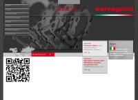 Sito di Salvagnini Industriale S.p.a.