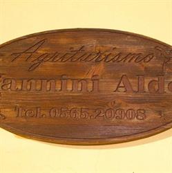 Vannini Aldo