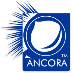 Ancora