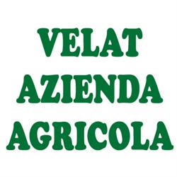 Velat Azienda Agricola