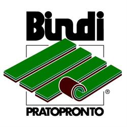 Bindi Pratopronto S.s.