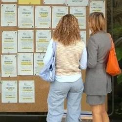 Ciak Immobiliare Di Vignoli Lorenzo Agenzia Immobiliare