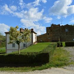 Ciuffi Simone