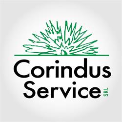 Corindus Service SRL