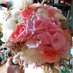 Ditelo Con I Fiori Di Ferraro