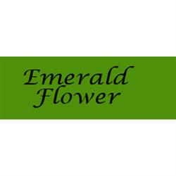Emerald Flower - Fioreria