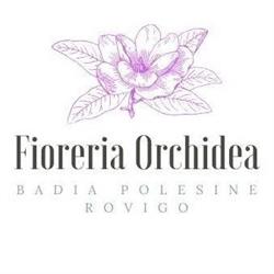 Fioreria Orchidea Di Mazzetto Patrizia