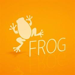Frog S.r.l.