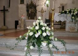 Piante-Fiori Iorio Anna