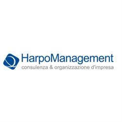 Harpo Management