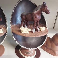 Il Chicco Di Giorgi Maria & C. S.a.s.