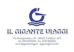 Il Gigante Viaggi