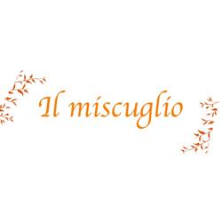 Il Miscuglio Giornali Tabacchi
