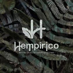 L'Hempirico