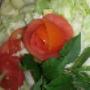 Insalata