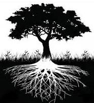 La Quercia S.r.l.