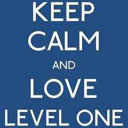 Level One Soc.Resp.Limitata