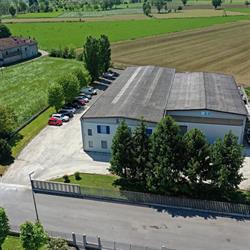 M.t. Costruzioni Macchine Tessili S.r.l.