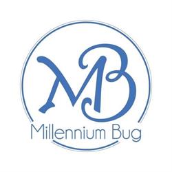 Millennium Bug Di Antonella Sanseverino & C. S.a.s.