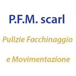 P.F.M. Scarl