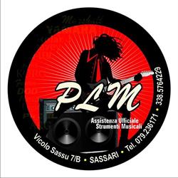 P.l.m. Servizi Elettronici Di Manunta e Lancione S.n.c. Assistenza Attrezzature Musicali