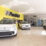 Gallery Professionale