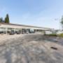 Gallery Professionale