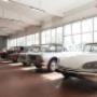 Gallery Professionale