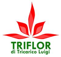 Triflor Di Tricarico Luigi