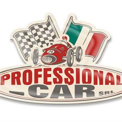 Professional Car S.R.L. - CONCESSIONARIA CHATENET / ALD USATO