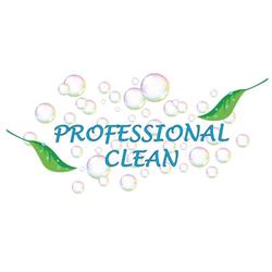 Professional Clean